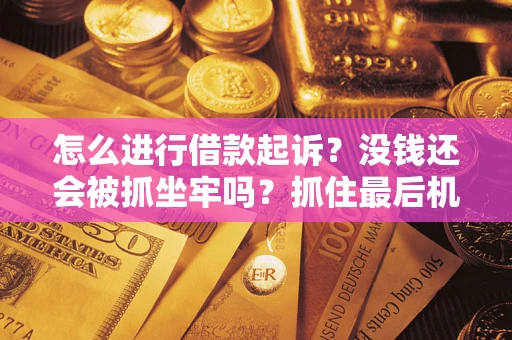 武汉怎么进行借款起诉？没钱还会被抓坐牢吗？抓住最后机会！