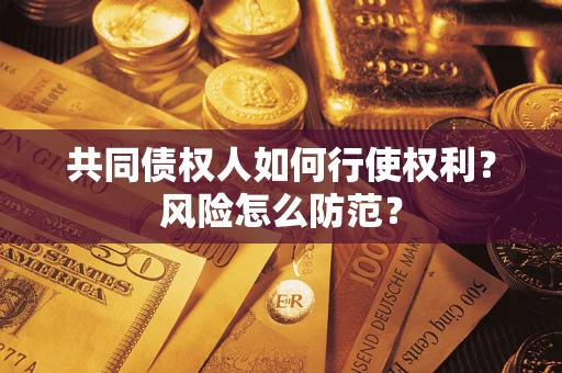 武汉共同债权人如何行使权利？风险怎么防范？