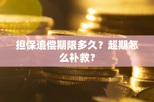 武汉担保追偿期限多久？超期怎么补救？
