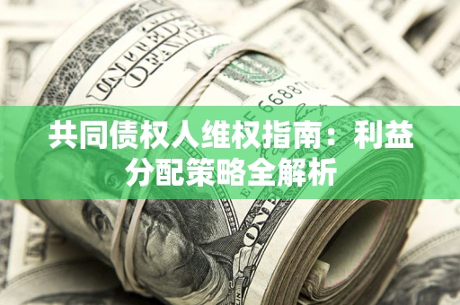 武汉共同债权人维权指南：利益分配策略全解析