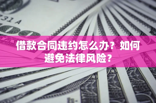 武汉借款合同违约怎么办？如何避免法律风险？