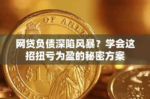 武汉网贷负债深陷风暴？学会这招扭亏为盈的秘密方案